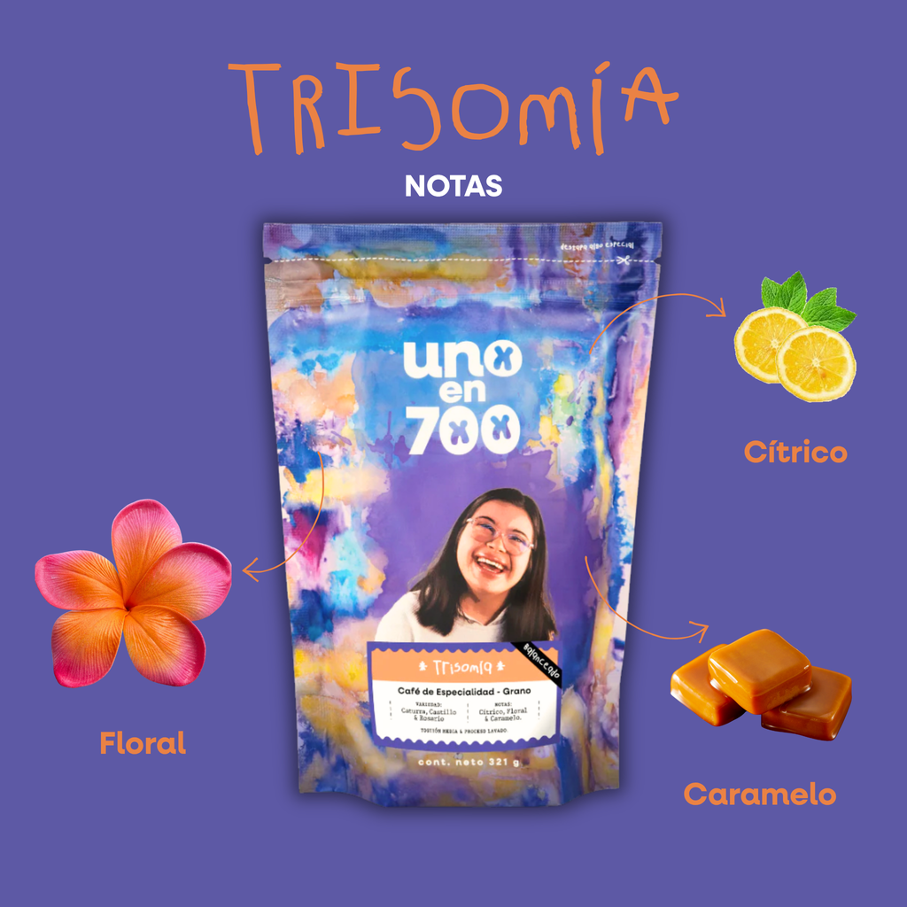Trio Trisomia